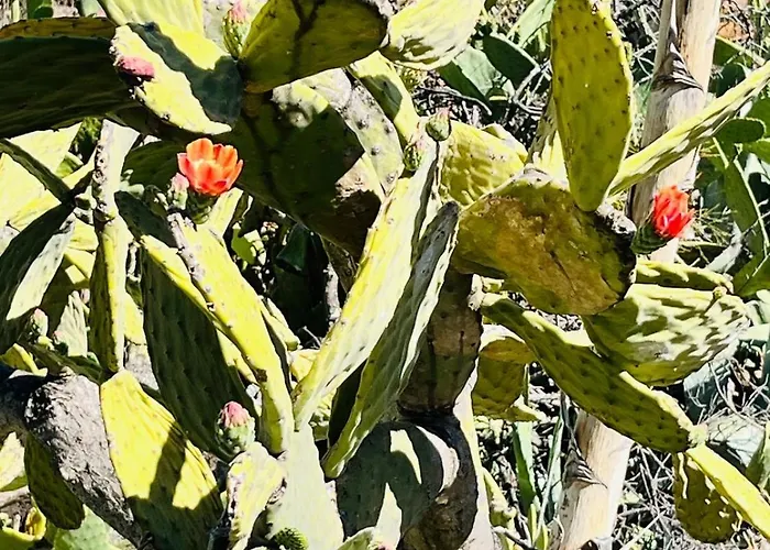 Apartamento Blue Ocean Costa Adeje 502 *