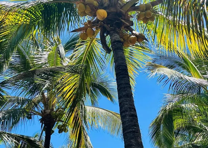 Apartament Blue Ocean Costa Adeje 502 *